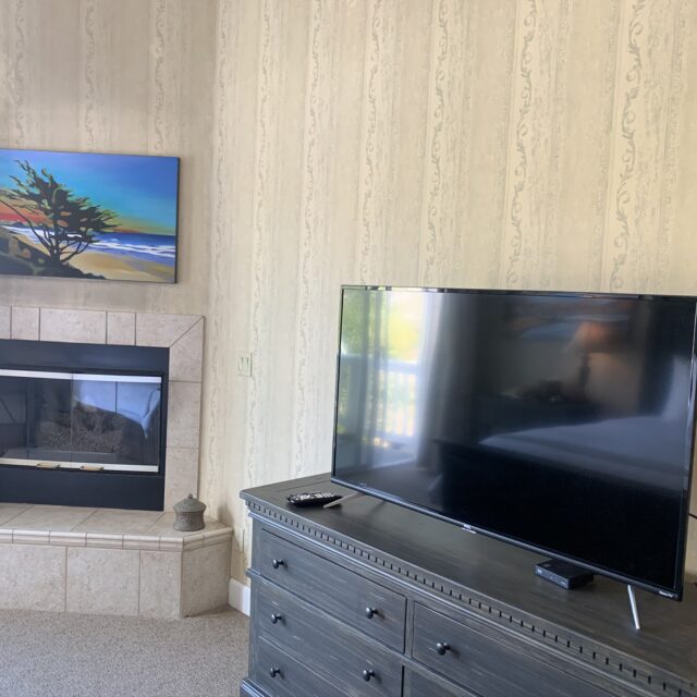 Room 205 tv and fireplace view