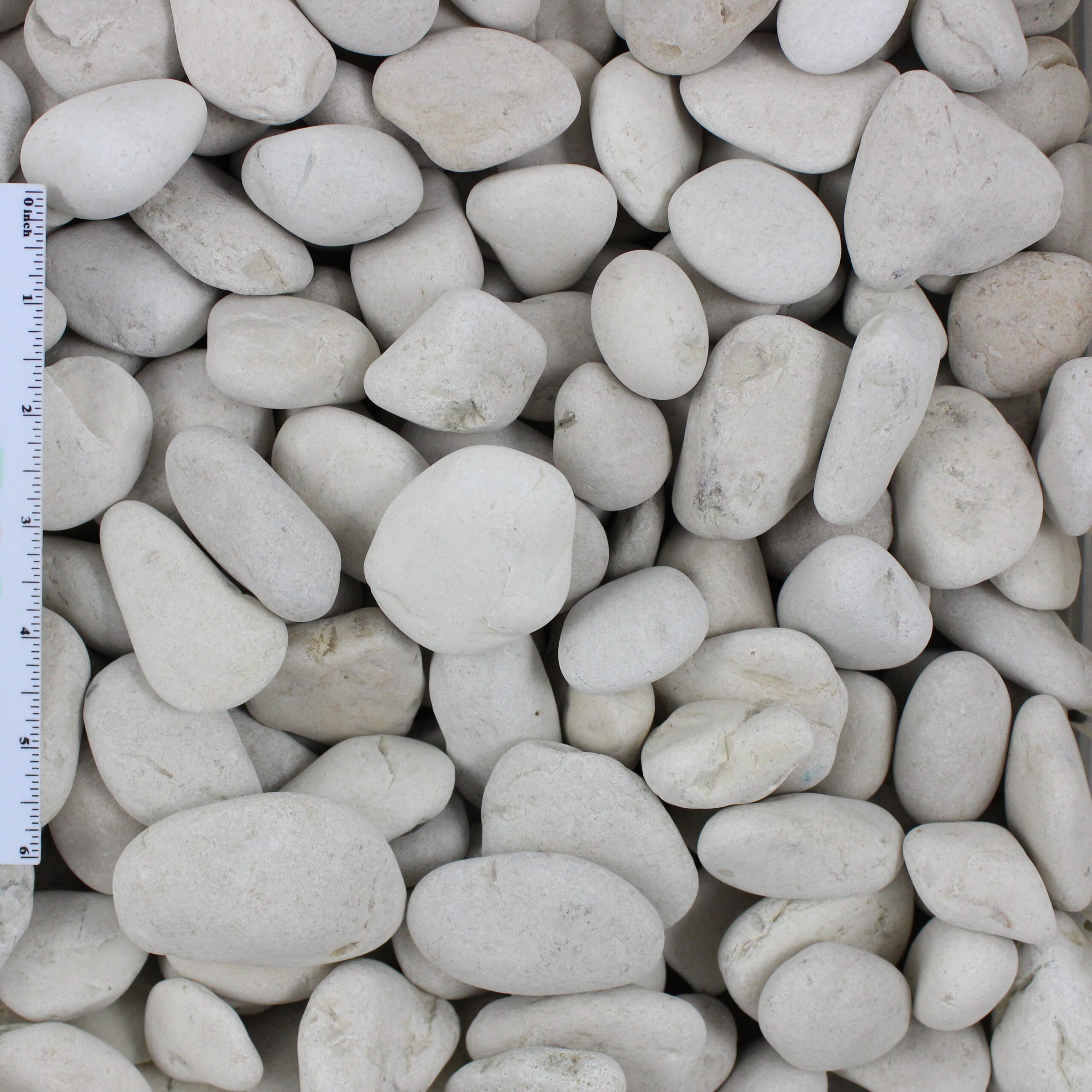 Ivory Pebbles